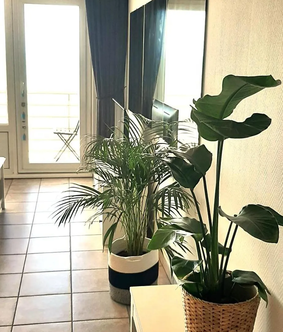 Lo & L'Oo Appartement Oostende